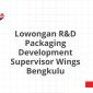 Lowongan R&D Packaging Development Supervisor Wings Bengkulu