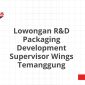 Lowongan R&D Packaging Development Supervisor Wings Temanggung