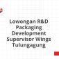 Lowongan R&D Packaging Development Supervisor Wings Tulungagung