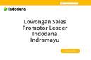 Lowongan Sales Promotor Leader Indodana Indramayu