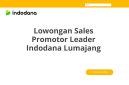 Lowongan Sales Promotor Leader Indodana Lumajang