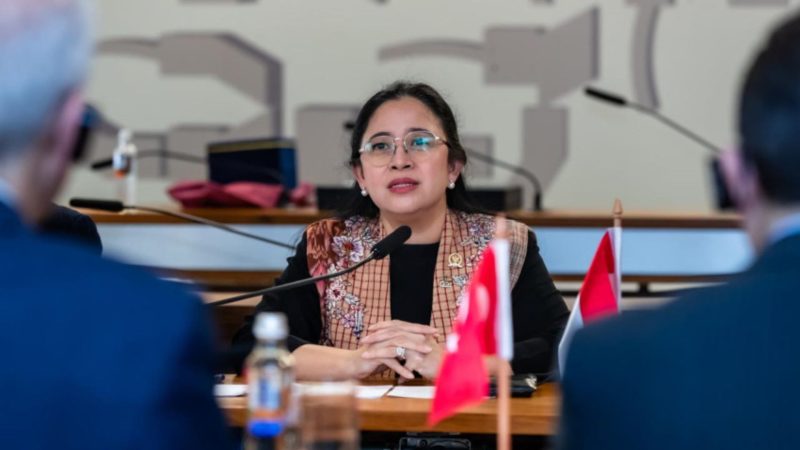 Ketua DPR RI, Puan Maharani (Dok. Ist)