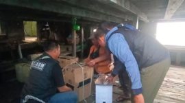 Polisi Situbondo Gagalkan Penyelundupan Rokok Ilegal dari Pulau Madura (Dok.ist)