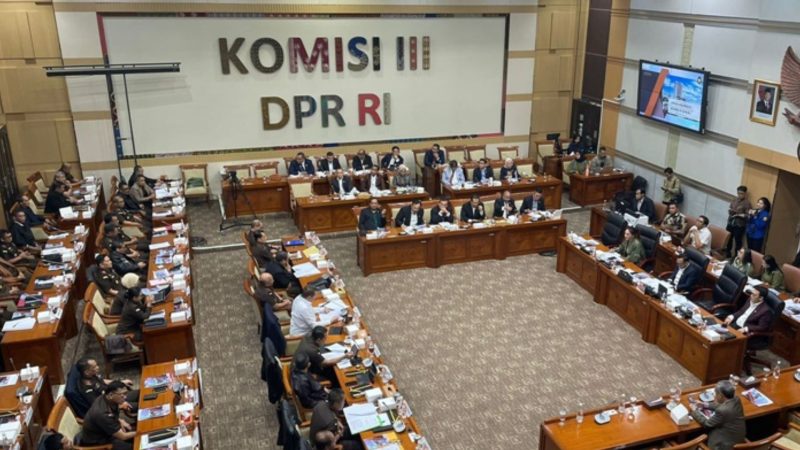 Anggota Komisi III DPR RI pertanyaan penetapan Tom Lembong 
(Dok. Ist)