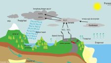 Proses Terjadinya Siklus Air pada Hidrosfer