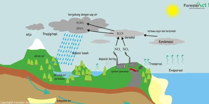 Proses Terjadinya Siklus Air pada Hidrosfer