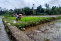 Mengapa Masyarakat Senantiasi Mengalami Perubahan Sosial Budaya?