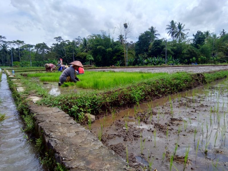 Mengapa Masyarakat Senantiasi Mengalami Perubahan Sosial Budaya?