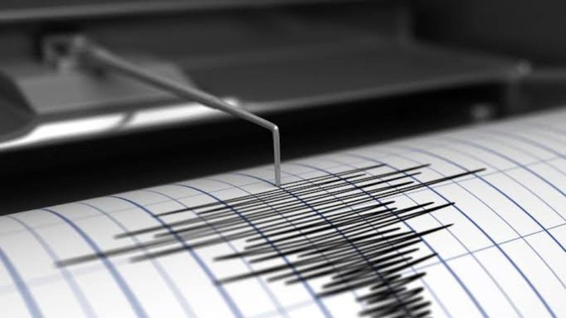 Gempa M 3,3 Guncang Gresik (Dok. Ist)