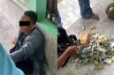 Pria Pencuri Kotak Amal di Mushola Bojonegoro Diamankan Warga (Dok. Ist)