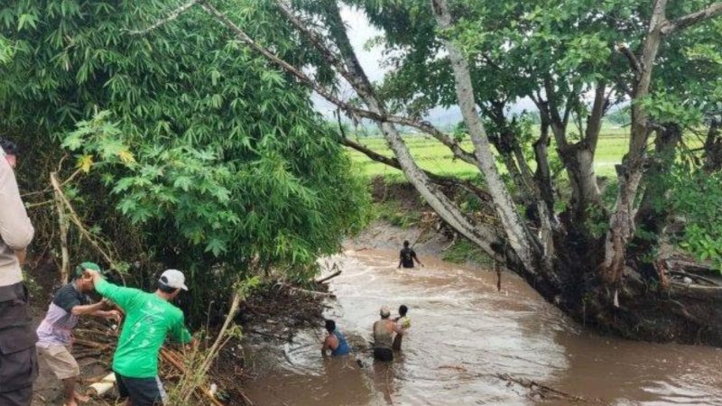 Pencarian peternak dan sapinya yang terseret arus banjir di NTB
(Dok. Ist)