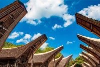 Wisata Toraja (Dok. Ist)