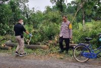 Pohon Tumbang di Ponorogo Tewaskan Warga (Dok. Ist)