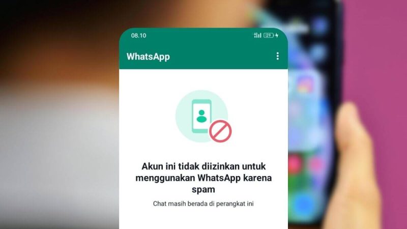 Cara Memperbaiki WA yang Kena Spam