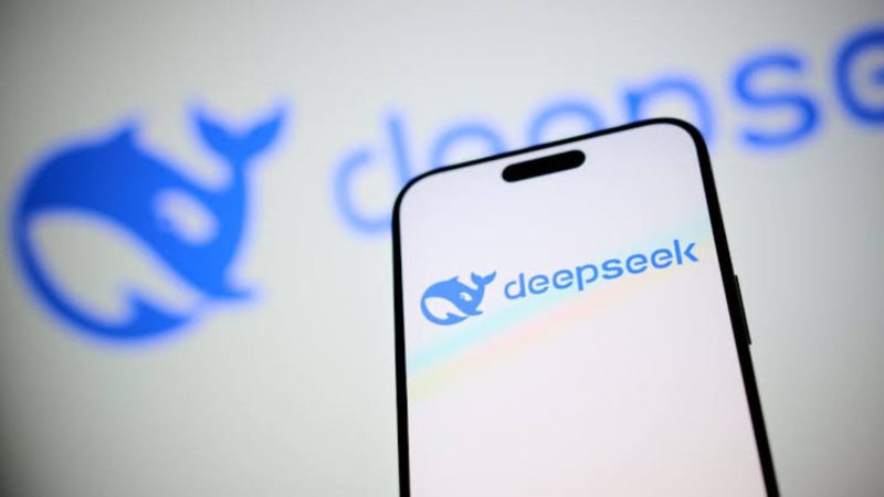 DeepSeek (Dok. Ist)