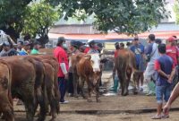 Pasar Hewan di Ponorogo Ditutup Sementara (Dok. Ist)