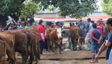 Pasar Hewan di Ponorogo Ditutup Sementara (Dok. Ist)