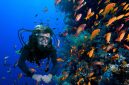 Snorkeling di Raja Ampat (Dok. Ist)