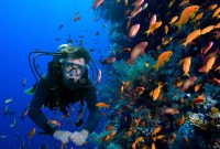 Snorkeling di Raja Ampat (Dok. Ist)