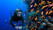 Snorkeling di Raja Ampat (Dok. Ist)