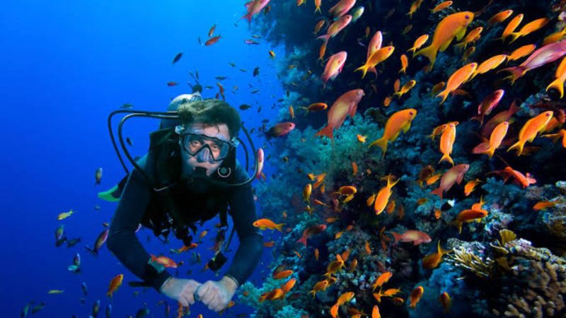 Snorkeling di Raja Ampat (Dok. Ist)