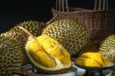 Durian (Dok. Ist)