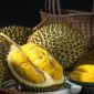 Durian (Dok. Ist)