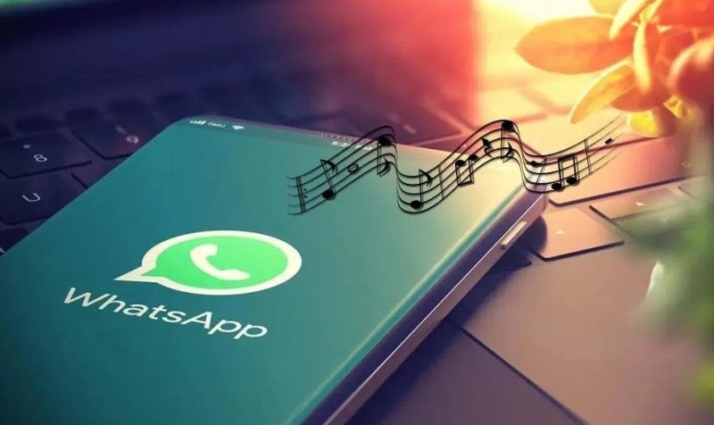 Cara Mengatasi WhatsApp Tidak Ada Fitur Musik