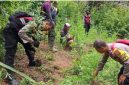 Ganja di Bromo (Dok. Ist)