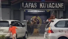  Puluhan Napi Kabur dari Lapas Kutacane